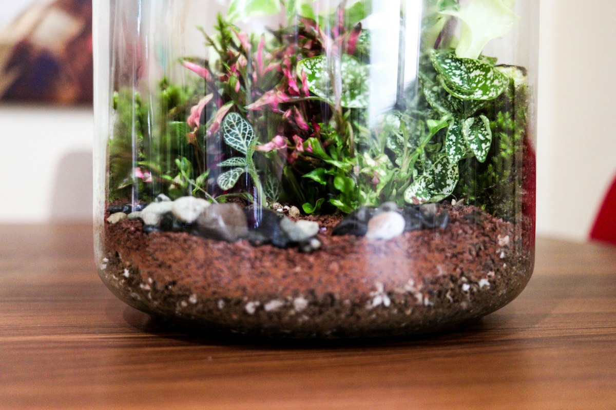 Soil and Nutrients Guide